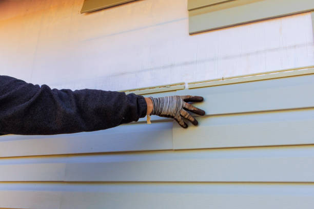 Affordable Siding Repair and Maintenance Services in Wildomar, CA